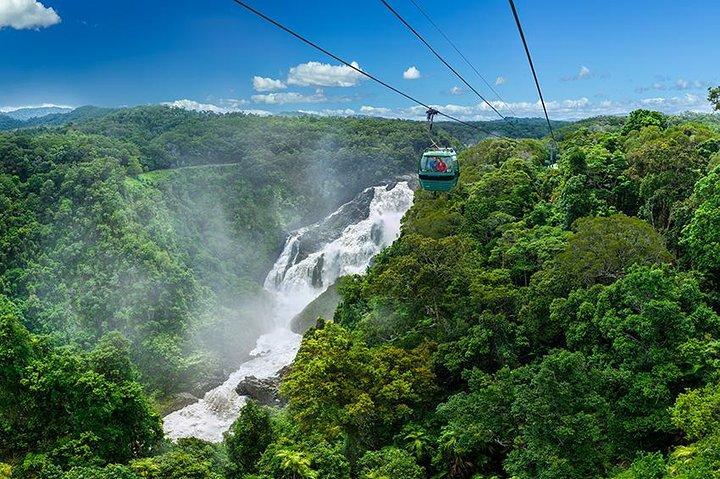 Skyrail Rainforest Cableway Day Trip de Port Douglas