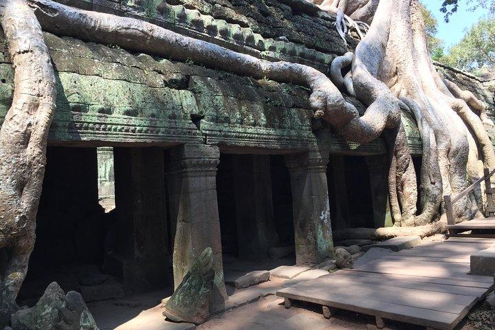 プライベート アンコール ワット ユニークな 5 つの主要な寺院のユニークなツアー