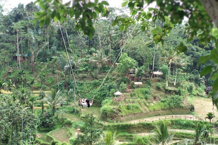Ubud Amazing Day Trip