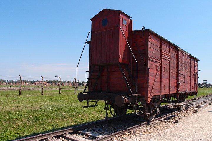 Krakow: Auschwitz-Birkenau Official Guide and Two-Way Transport