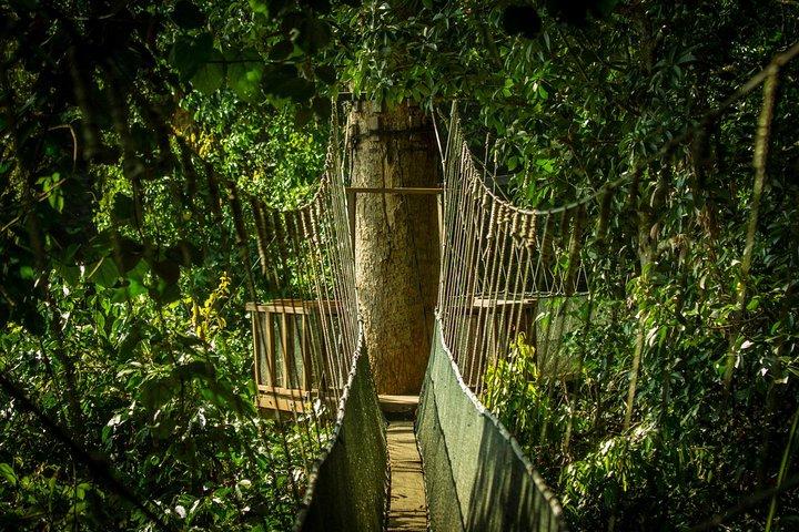 Kinabalu Nationalpark-Tour