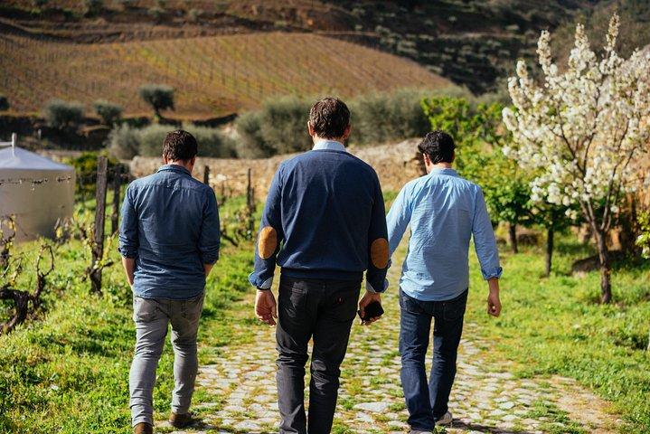 Privédagtrip naar de Dourovallei inclusief boottocht en wijnproeverij