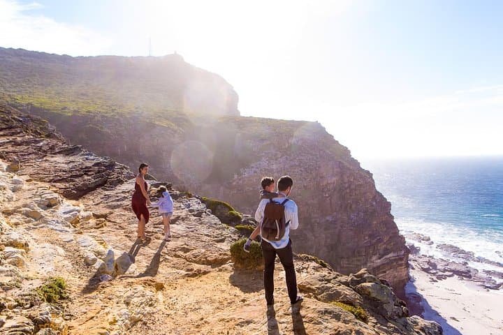 Full day Cape Point + Constantia Wine Tour with Private Transfer