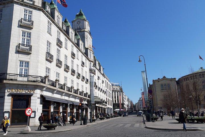 市内観光（博物館フリー）。オスロ市の隠された宝石のツアー