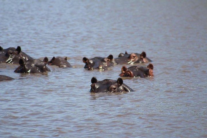 Mokoro Day Trip