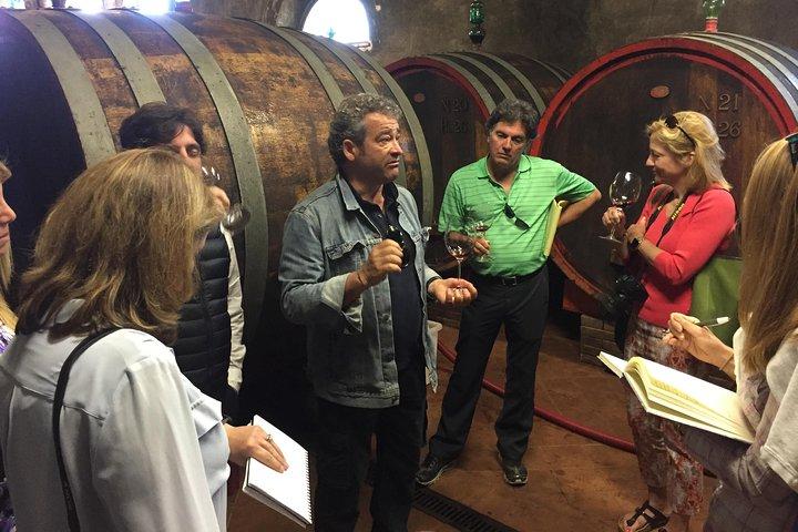 Smaak van Toscane San Gimignano Winery met transfer vanuit Florence