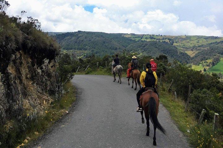 Andean Horseback Riding Experience Near Bogotá