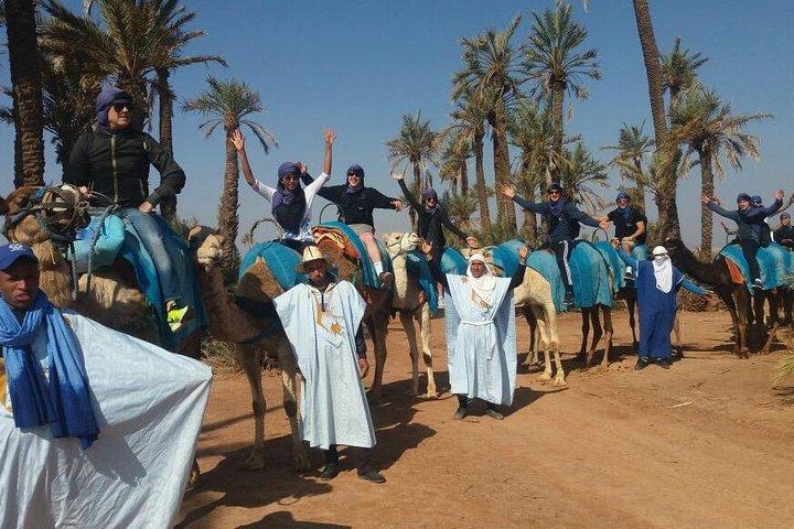 Marrakech: 1/2 day camel ride in the palm grove