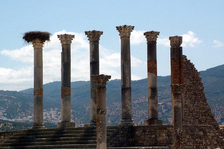 Volubilis et Meknès: excursion privée de 8 heures au départ de l'hôtel de Meknès