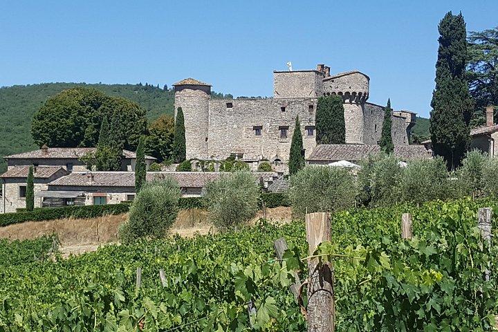 Chianti and San Gimignano - 2 Wineries with Pairing Lunch