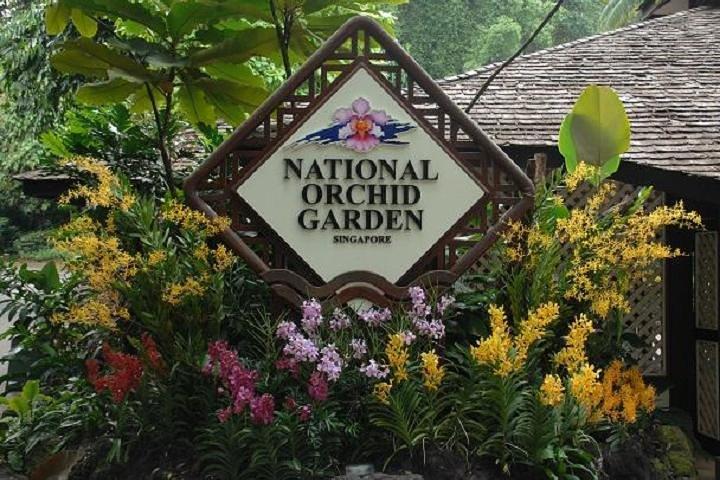 Tour privado de medio día por Singapur con jardín botánico de orquídeas
