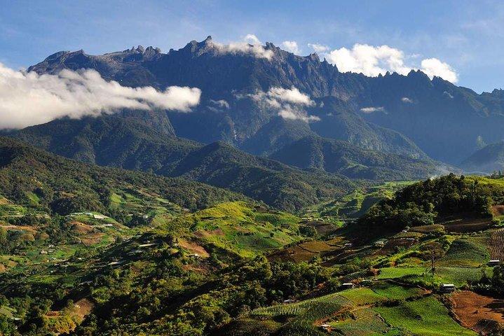 Kinabalu Nationalpark-Tour
