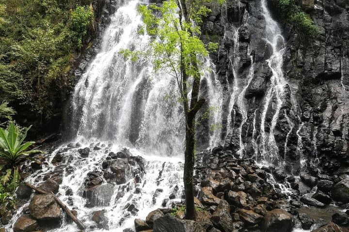 Valle de Bravo: Private & Small group tour from Mexico City