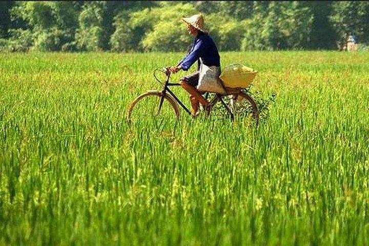 マイ チャウ ネイチャー ビレッジ 2 日間の旅
