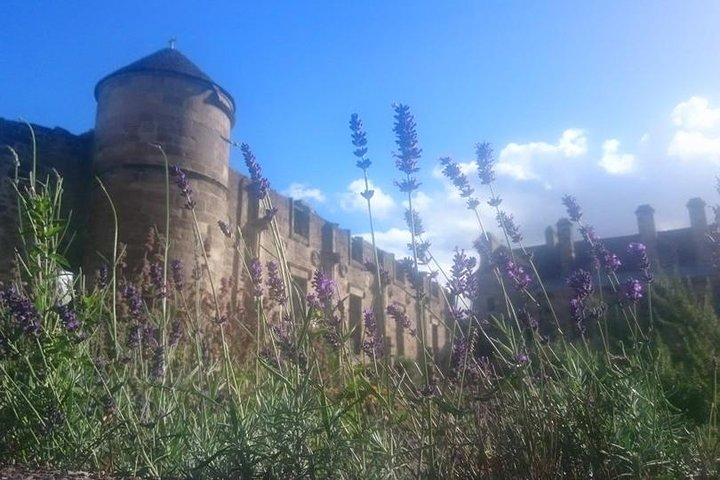 Excursão pelas vilas de St Andrews, Falkland e Fife saindo de Edimburgo