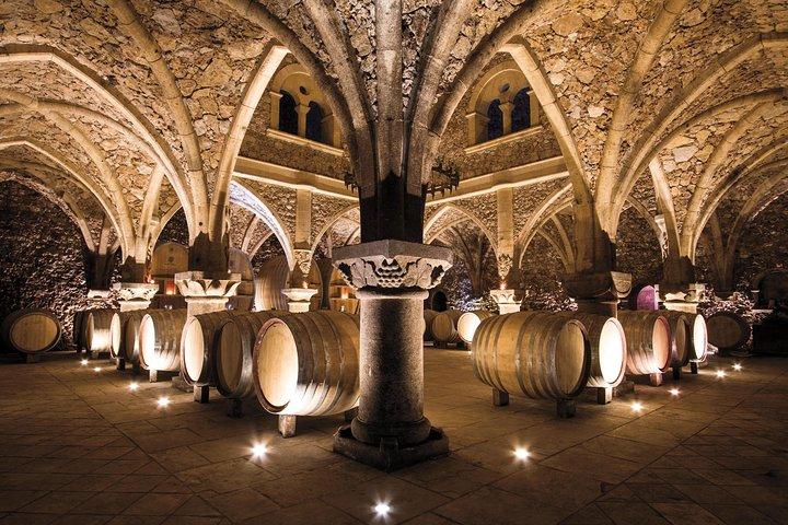 Weintour durch die Provence – Private Tagestour ab Cannes