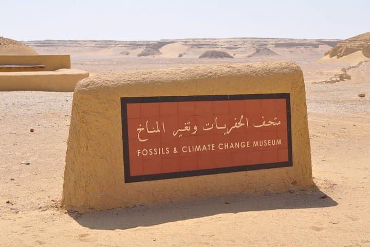Day Trip to Valley of Whales from Cairo - Wadi El Hitan
