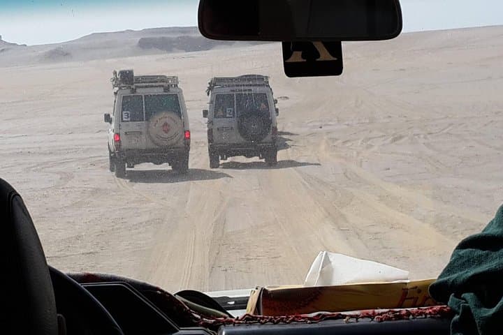 Day Trip to Valley of Whales from Cairo - Wadi El Hitan