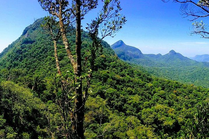Tijuca Forest Challenge Full-Day Hike (Small-Group or Private)
