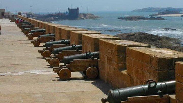 Agadir to Essaouira Day Trip: UNESCO Medina, Fishing Port & Souk