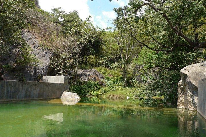 Mountain Tour - Darbat falls, Jebel Samhan, sinkholes, baobabs