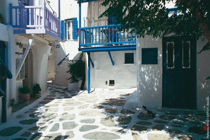 Mykonos Island Tour