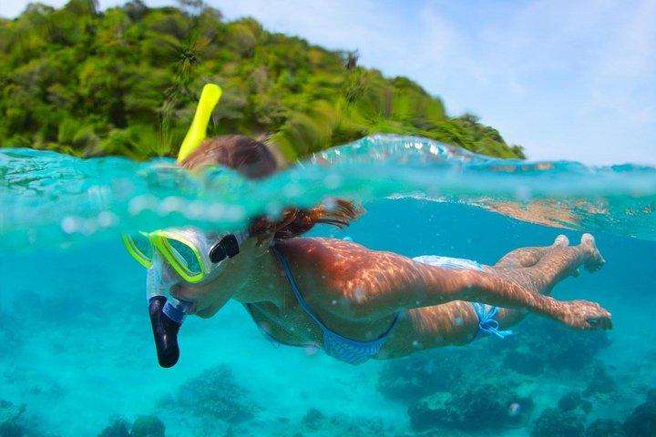 Excursion de plongée en apnée de l'île Mantanani au départ de Kota Kinabalu