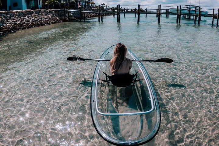 Eco-Tour guidée en kayak clair de Jupiter