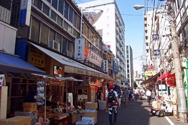 Frit opsat planer Guidede private ture i Tokyo