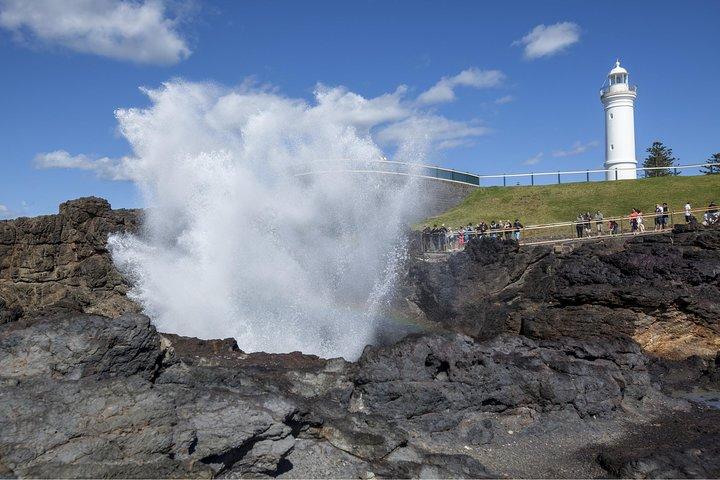 Privétour: Sydney South Coast & Highlands