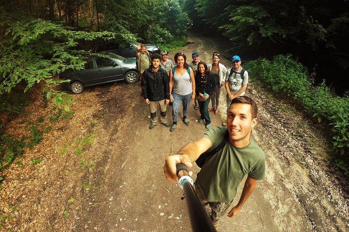 Natura selvaggia dei Carpazi: un'esperienza faunistica da Brașov