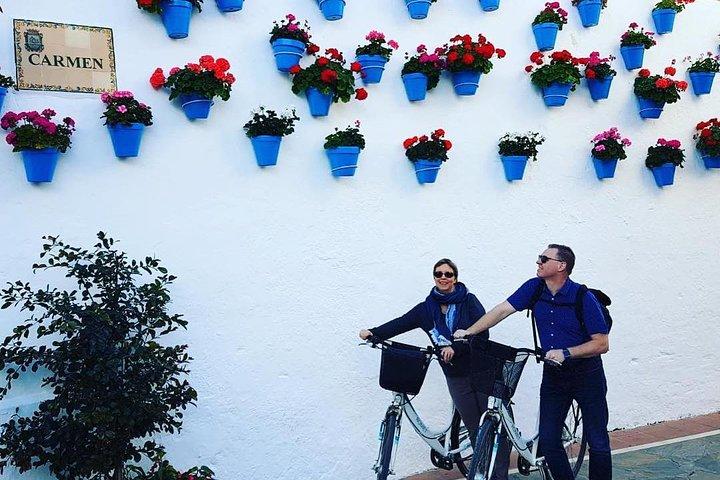 Tour della città in bicicletta Marbella
