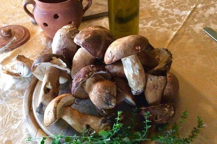 Cooking Class in a Florentine Villa with Transfer for small group