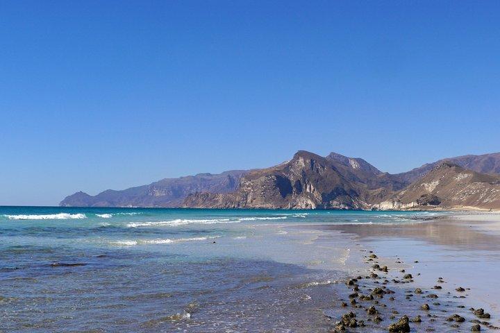 西海岸の素晴らしさ - ビーチ、崖、パノラマビュー