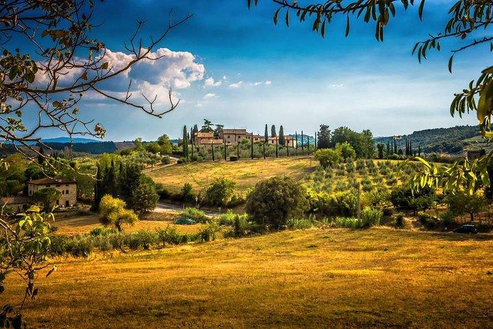 Excursão privada Carmignano: O primeiro Cabernet Sauvignon na Toscana