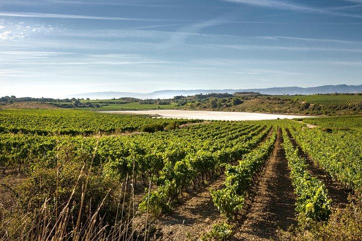 La Rioja Weine und Laguardia Tour ab Bilbao