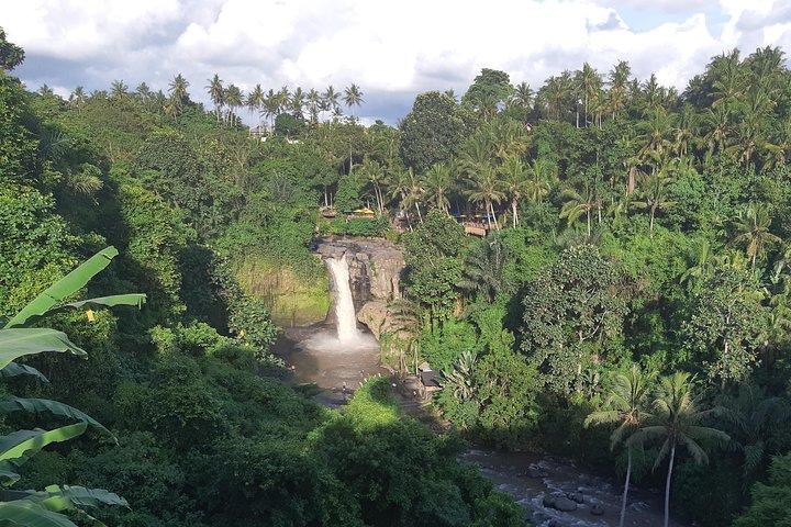 Bali Full Day Holy Water Tour