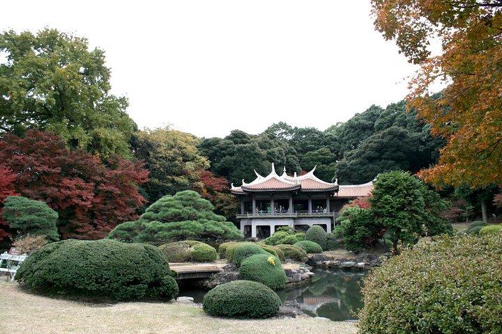 Gratis val av resvägar Tokyo Private Tour