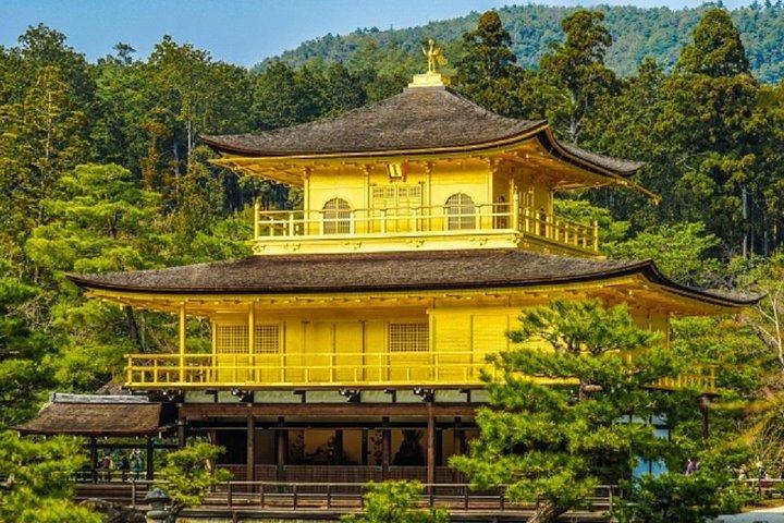 丸一日チャーターチャータータクシーツアー