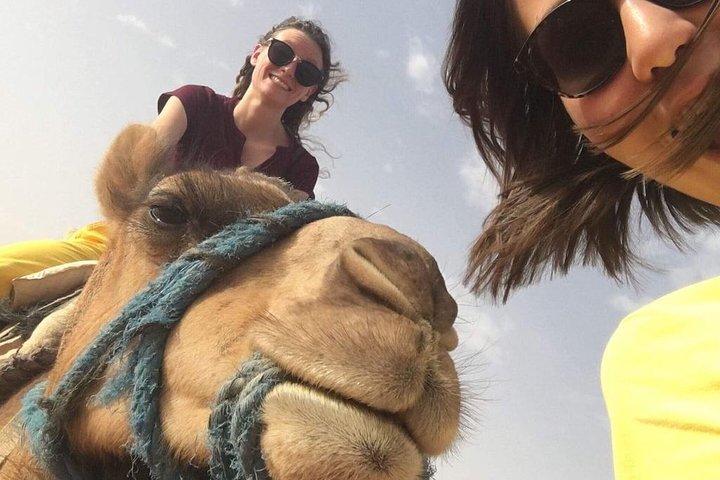 Camel ride in the palm grove from Marrakech