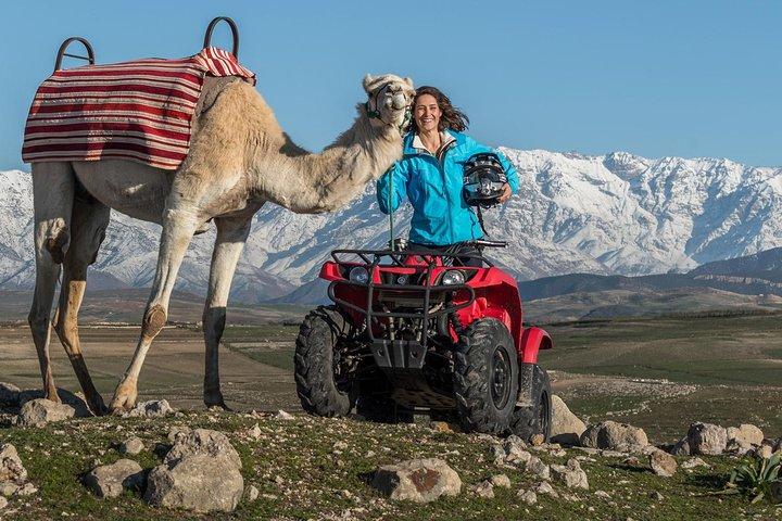 Camelo e Quad em Marrakech