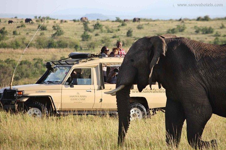 14-Day Volunteer Orphanage Masai Mara And Lake Nakuru Safari from Nairobi