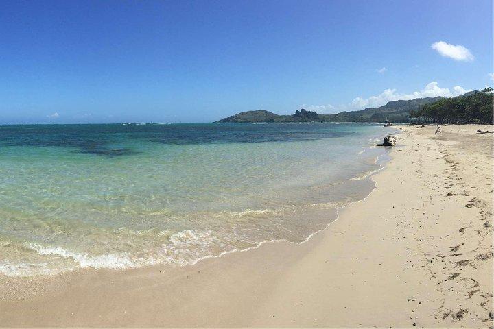 Puerto Plata Shore Excursion: ATV adventure for Amber Cove & Taino Bay Passenger