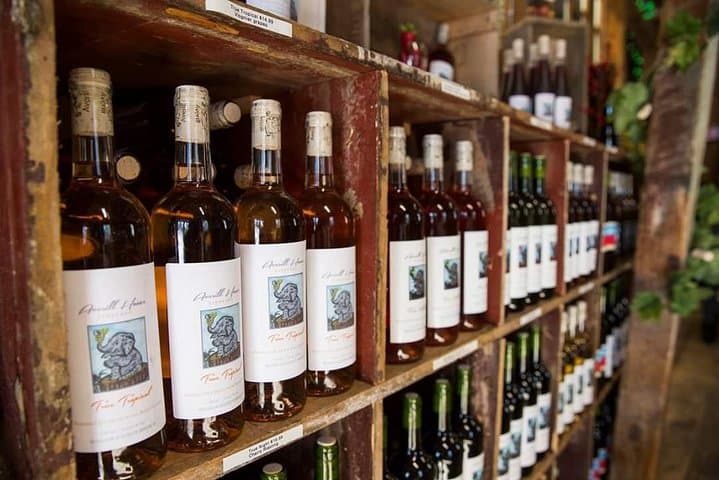 Horseback Riding and Wine Tours