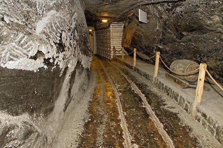 ヴィエリチカ塩鉱山ガイドツアー： チケット+交通手段