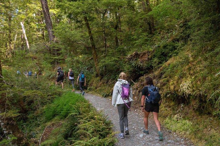 Routeburn Track Guided Hike (heldag)