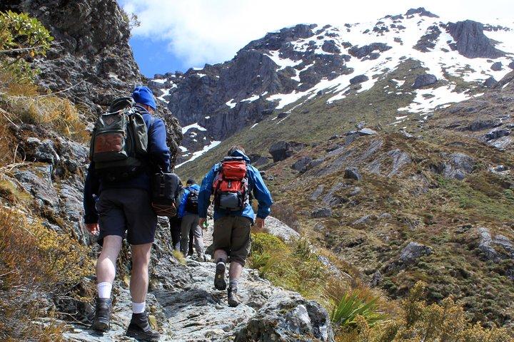 Routeburn Track Guided Hike (heldag)