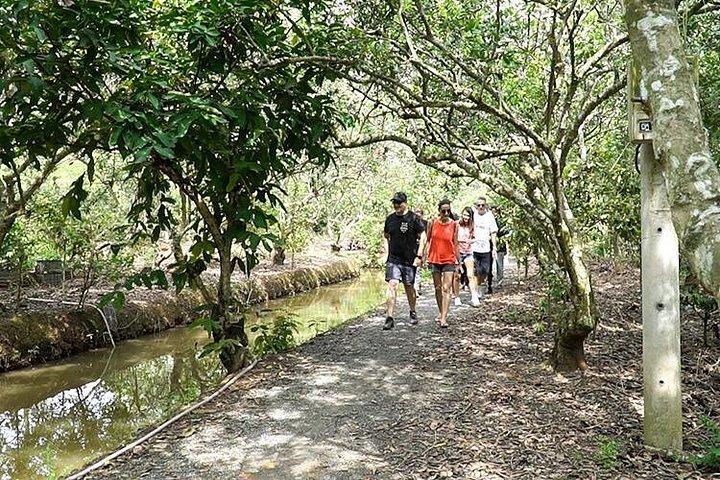 サイゴン発豪華カヌーでメコンデルタを巡る1日ツアー