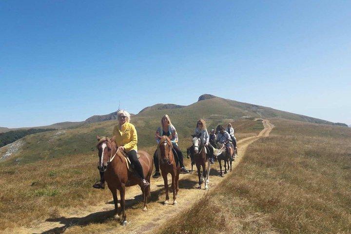 Kort paardrijden - Kolasin