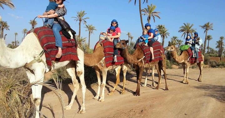 From Marrakech: Palm Grove Quad Bike and Camel Ride Tour